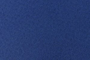 in4more-blauwe-loper-huren