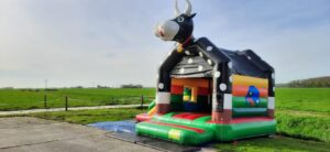 koe-springkussen-weiland-huren-in4more